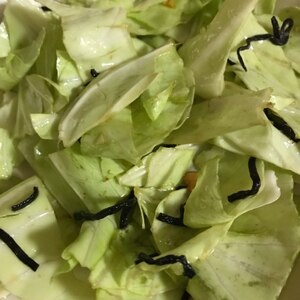 キャベツ大量消費 作り置きキャベツ塩昆布和え レシピ 作り方 By まるまるしかく 楽天レシピ キャベツ大量消費 作り置きキャベツ塩昆布和え レシピ 作り方 By まるまるしかく 楽天レシピ